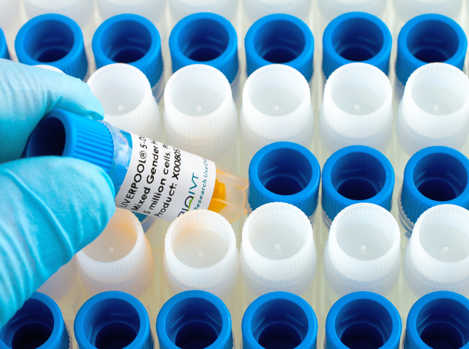 Hepatocyte Quality Hepatocyte Quality