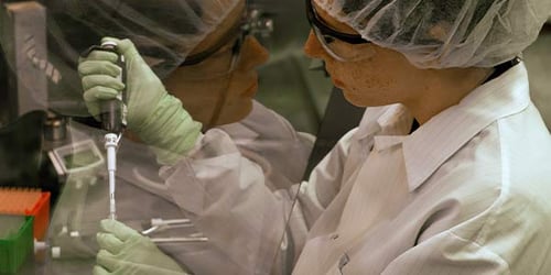 Conducting study in hood