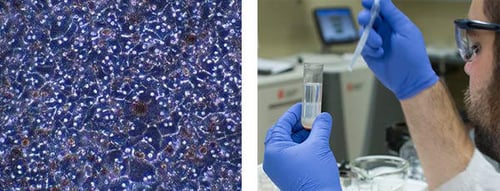 SOT-HDR_Test-System-Preparation